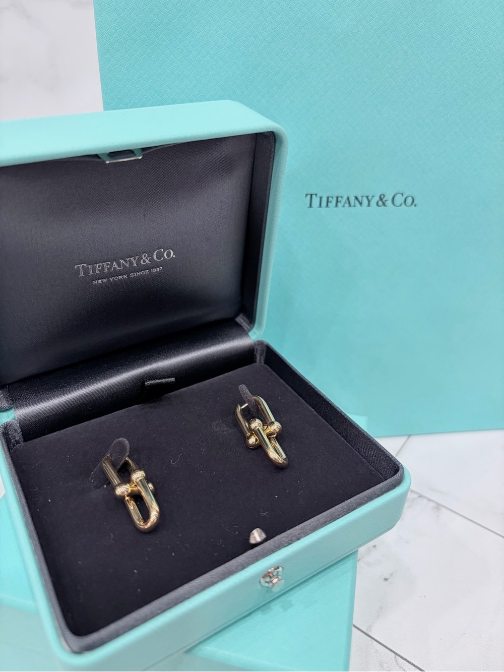 Tiffany HardWear Link Earrings
